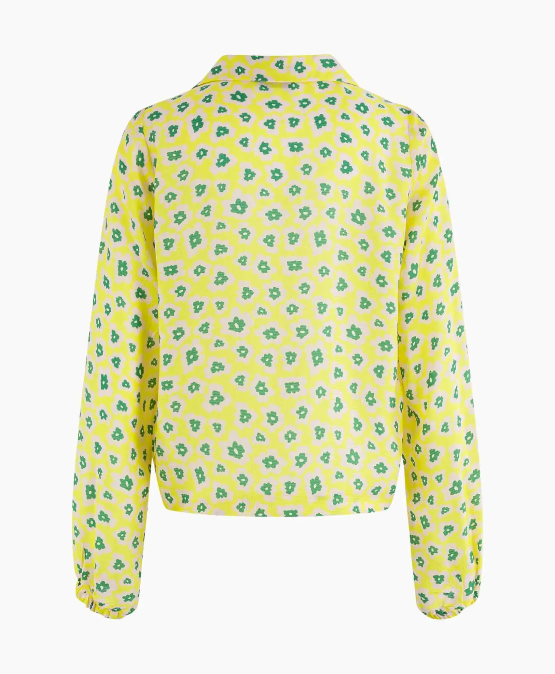 Anna Van Toor Blouse 43A05-03377 Licht Groen