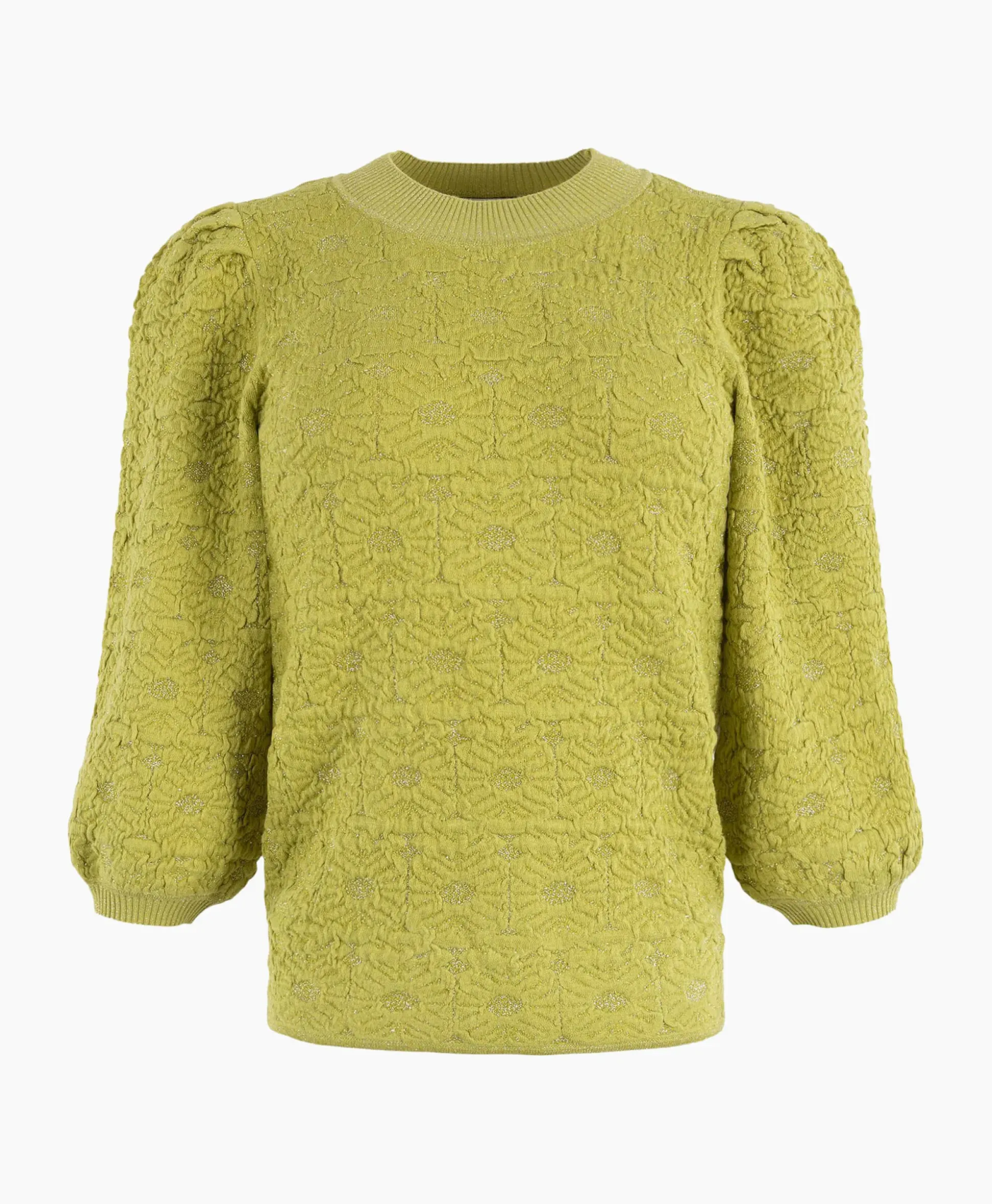 Anna Van Toor Pullover 34A09-02850 Groen