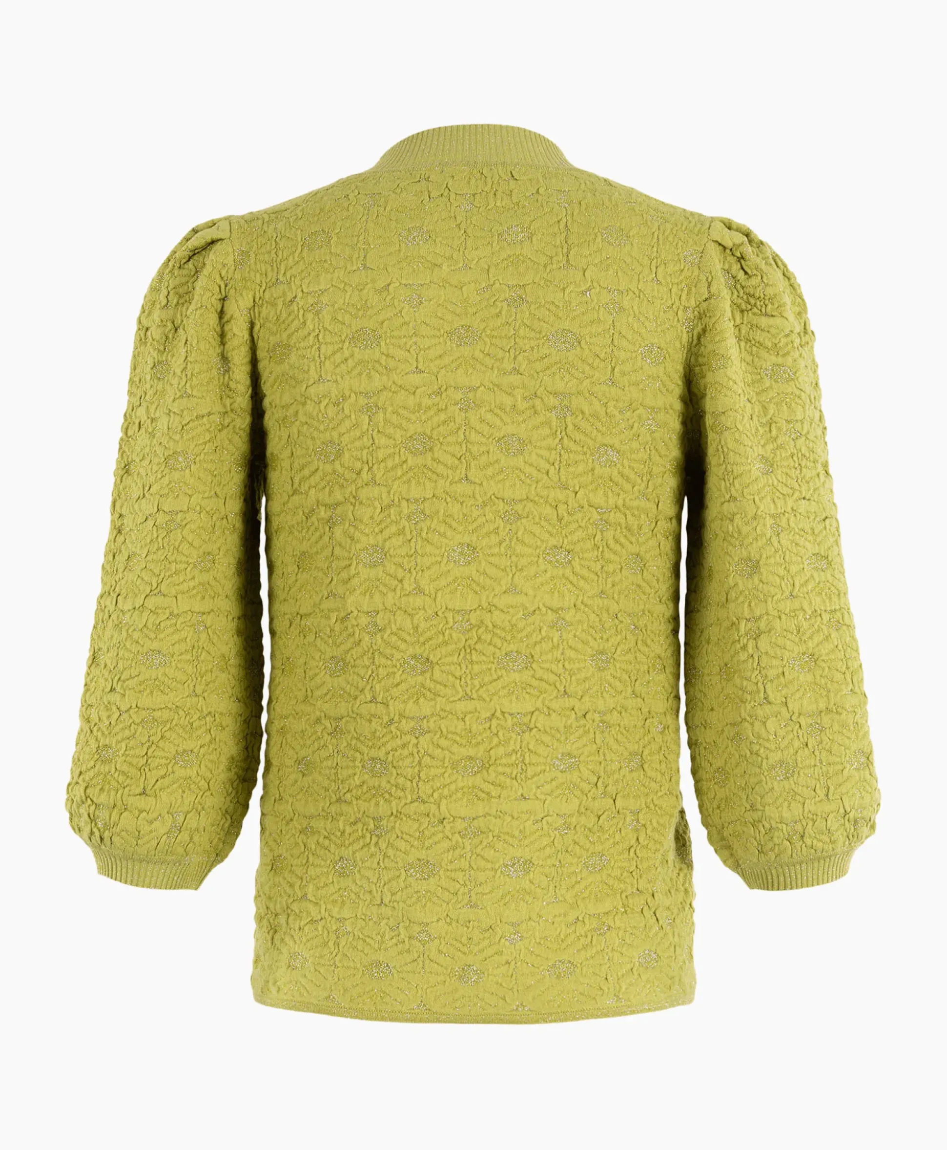 Anna Van Toor Pullover 34A09-02850 Groen