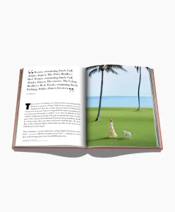 Assouline Boek Palm Beach Diversen
