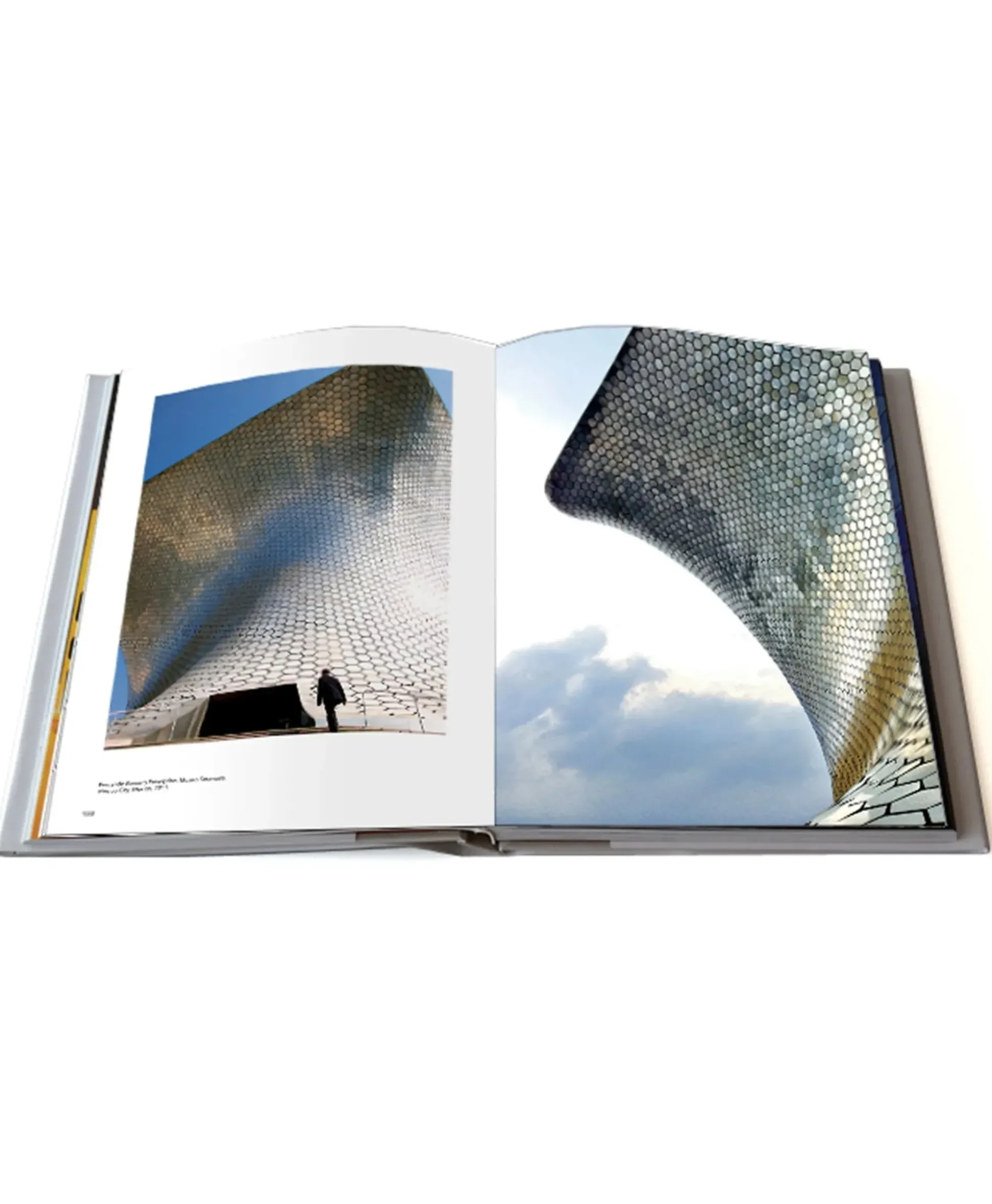 Assouline Boek Portraits Of The New Architecture 2 Diversen