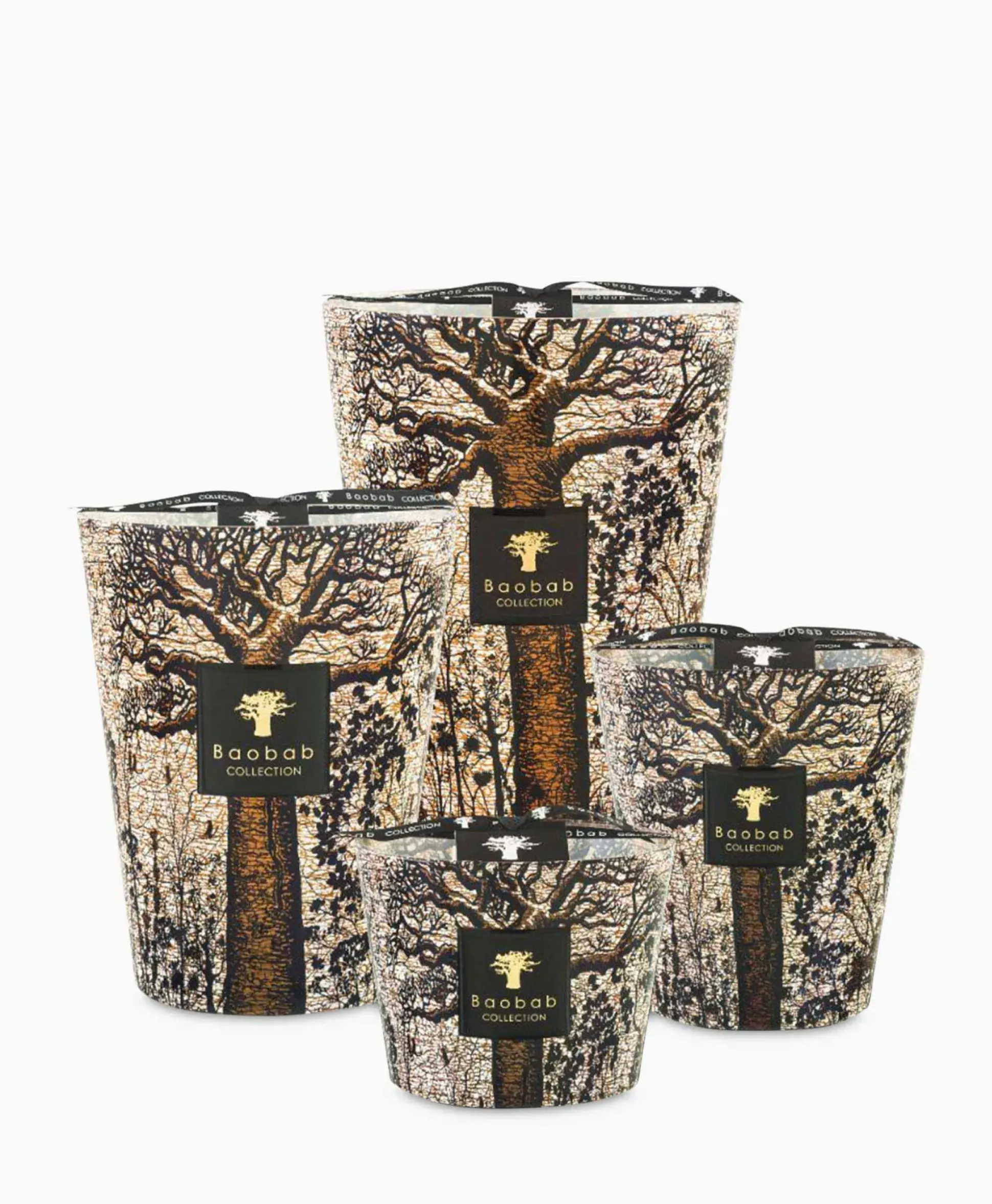 Baobab Kaars Max 10 Sacred Trees Morondo Diversen