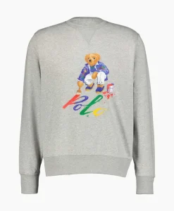 Ralph Lauren Sweater Paint Bear Grijs